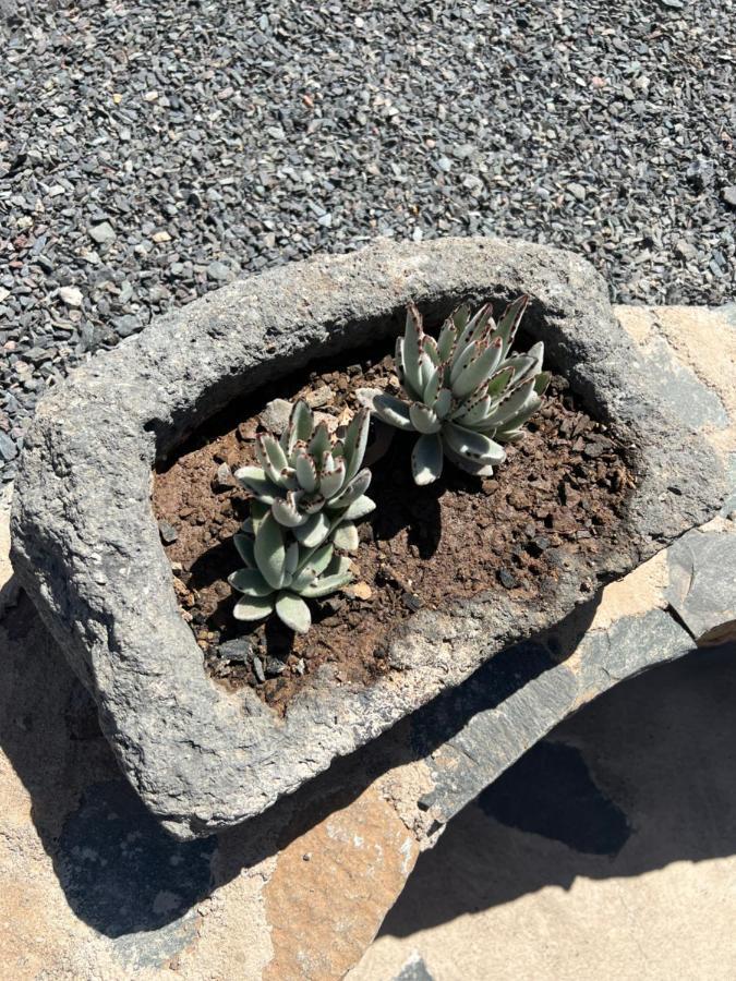 Casa Rural Con Bano Adaptado Y Piscina En Mogán Esterno foto