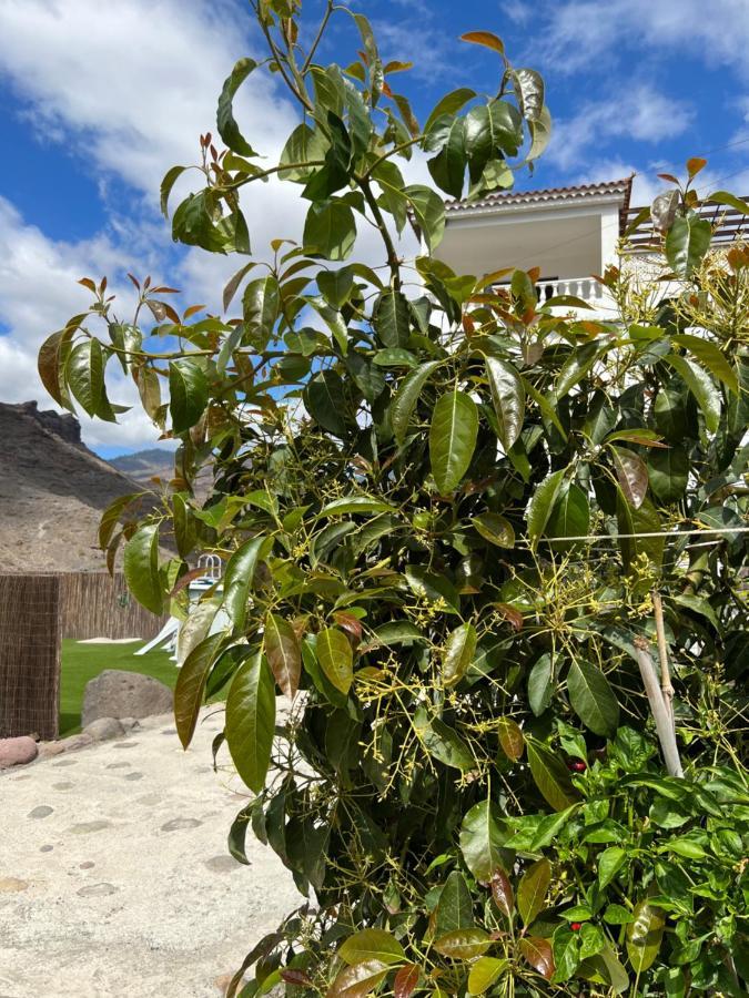 Casa Rural Con Bano Adaptado Y Piscina En Mogán Esterno foto